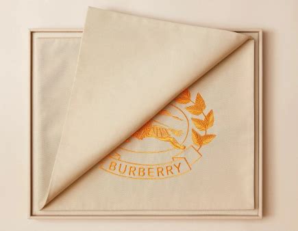 burberry packaging 2022|burberry plc sustainable development.